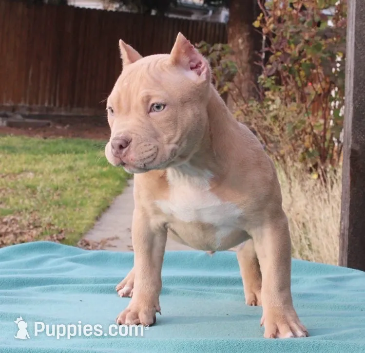 processed/937162a4-d6e6-457c-a4ba-fc6c2c77bca7/listing/3736ba32-9ea9-451b-8c7a-897992c03396/60a53dc5-5e72-4c83-8c6a-d99ac35e117e