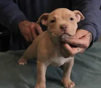 processed/937162a4-d6e6-457c-a4ba-fc6c2c77bca7/listing/3736ba32-9ea9-451b-8c7a-897992c03396/80b8f6be-1605-4eba-b161-dc190367a2bc