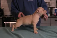 processed/937162a4-d6e6-457c-a4ba-fc6c2c77bca7/listing/3736ba32-9ea9-451b-8c7a-897992c03396/dab58345-9a7f-4f6c-bbfe-9b452198e6b1