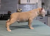 processed/937162a4-d6e6-457c-a4ba-fc6c2c77bca7/listing/3736ba32-9ea9-451b-8c7a-897992c03396/dfcc5207-d204-4429-a346-16f97fc3d0f1