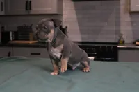 processed/937162a4-d6e6-457c-a4ba-fc6c2c77bca7/listing/7cda8406-b7dc-447b-ba5e-7761ff34c7e1/32eba3b8-dfb1-46c6-9fa7-907e95242081