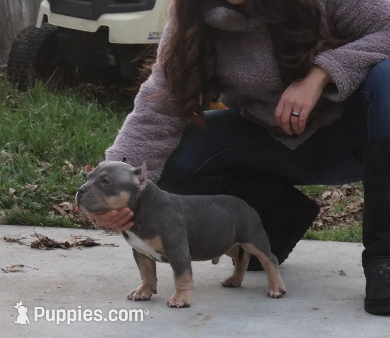 processed/937162a4-d6e6-457c-a4ba-fc6c2c77bca7/listing/7cda8406-b7dc-447b-ba5e-7761ff34c7e1/3d9d1438-63e5-4d42-8204-66cc8f4d7305