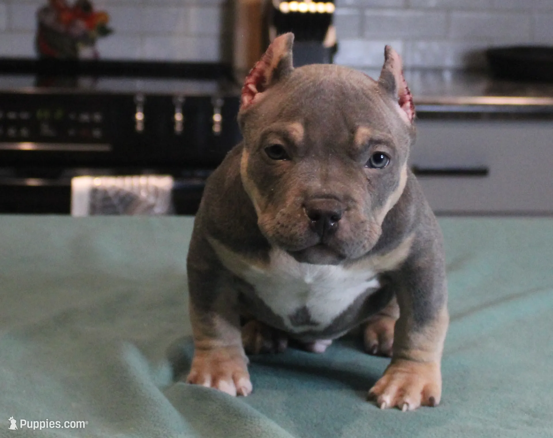 processed/937162a4-d6e6-457c-a4ba-fc6c2c77bca7/listing/7cda8406-b7dc-447b-ba5e-7761ff34c7e1/54d59ae3-dcc5-492d-9cdf-2acb576abb51