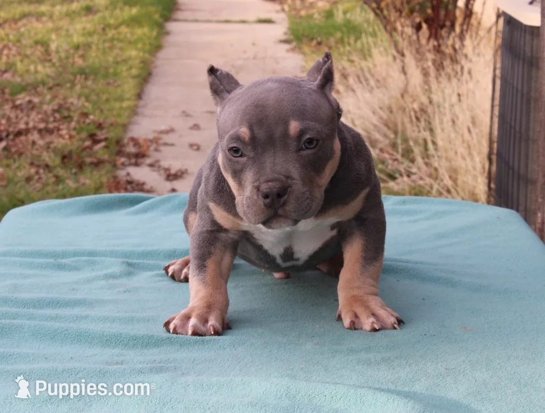 processed/937162a4-d6e6-457c-a4ba-fc6c2c77bca7/listing/7cda8406-b7dc-447b-ba5e-7761ff34c7e1/5f71bdcd-1690-467e-b005-46de02713b42