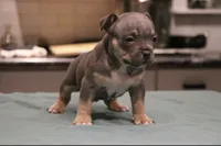 processed/937162a4-d6e6-457c-a4ba-fc6c2c77bca7/listing/7cda8406-b7dc-447b-ba5e-7761ff34c7e1/89fe1357-0f58-4462-a41e-a71a413e14bd