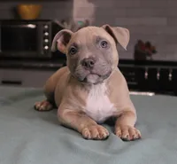 processed/937162a4-d6e6-457c-a4ba-fc6c2c77bca7/listing/7d416994-ea9f-48ce-bbe1-2cd23384a6e7/5d3c36b8-dbd5-4164-abb6-3cd2eff975d8