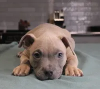 processed/937162a4-d6e6-457c-a4ba-fc6c2c77bca7/listing/7d416994-ea9f-48ce-bbe1-2cd23384a6e7/a36da583-0d62-4c98-b489-d94ca6e721dc