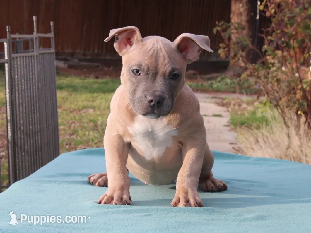 processed/937162a4-d6e6-457c-a4ba-fc6c2c77bca7/listing/7d416994-ea9f-48ce-bbe1-2cd23384a6e7/ee9e0f35-9548-48e1-bda2-51a901a91fab