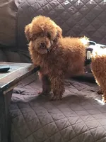 processed/93775904-8b43-4317-a43c-a947b10b5e66/listing/4a730aa7-f8e0-4e3d-ac8c-1fc40a74ca68/e3ef9a27-66dc-4d85-93e9-5482fddfe1a9