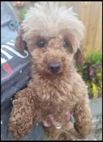 processed/93775904-8b43-4317-a43c-a947b10b5e66/listing/4a730aa7-f8e0-4e3d-ac8c-1fc40a74ca68/f8c1d38e-efe2-4ce7-bac4-b38fee11c84e