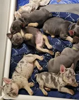 Facility photo