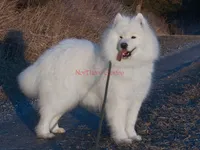 processed/9382c814-b03e-4229-80da-e1f71bae0063/listing/153f33e9-33f6-4b9a-8853-38518ec0d42d/b265e257-f98d-412e-b787-8668aedc8dbd