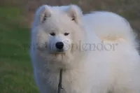 processed/9382c814-b03e-4229-80da-e1f71bae0063/listing/153f33e9-33f6-4b9a-8853-38518ec0d42d/d6028ddf-5c8c-41d5-b32f-608c3ff82e6a