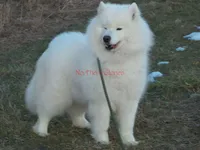 processed/9382c814-b03e-4229-80da-e1f71bae0063/listing/153f33e9-33f6-4b9a-8853-38518ec0d42d/ffc4cca5-5cd0-4a14-b0d2-1d745afe6527