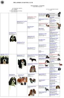 Toby AKC, a male Cavalier King Charles Spaniel for sale in Killen, AL – Photo 10 of 10