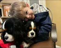 processed/93896864-6898-4109-a438-7ae1ef6920a2/listing/2bc9072f-df97-4918-b5f4-b825f485ad92/78998478-52cb-4d2f-b564-be2226359612