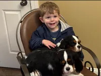 processed/93896864-6898-4109-a438-7ae1ef6920a2/listing/2bc9072f-df97-4918-b5f4-b825f485ad92/a8c8464d-de64-42a5-b9b1-6300d8eba70c