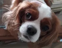 processed/93896864-6898-4109-a438-7ae1ef6920a2/listing/2bc9072f-df97-4918-b5f4-b825f485ad92/d50d8507-8efc-4636-b21b-3baab9dc7c6c