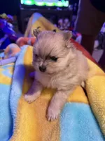 processed/9389aaaf-e2f3-4814-8621-7c396d0a687b/facility/5d905a42-c202-4fe2-a1ac-5e53c47d3635