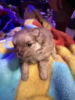 processed/9389aaaf-e2f3-4814-8621-7c396d0a687b/facility/bf44c94c-8069-432e-b4ca-4e20652fce6a