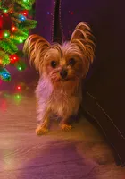 processed/938a6b86-07d3-408b-b90d-bd2eb7bda858/listing/5bd630ea-964e-47a4-a181-f217e624e7fb/b1edfee7-3e25-448a-a698-f10f37f82015