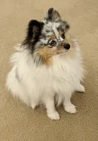 processed/938a6b86-07d3-408b-b90d-bd2eb7bda858/listing/c21313dd-de32-4513-8585-6c51d2b8df39/6a02c88b-08dd-4c69-8289-69614ac6ee55