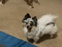 processed/938a6b86-07d3-408b-b90d-bd2eb7bda858/listing/c21313dd-de32-4513-8585-6c51d2b8df39/bf68c40b-1785-411c-994e-170b3de80f2c