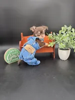 Sprout chocolate tri color chipoo , a male Chihuahua and Poodle - Toy  for sale in Anamoose, ND – 6 of 10