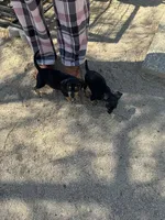 processed/93a6faba-ae62-48f1-b80c-b7230bbe14f3/facility/468fae73-ad58-4720-aa80-b563b1cbde5c