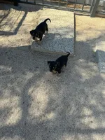 processed/93a6faba-ae62-48f1-b80c-b7230bbe14f3/facility/7b2ed9d7-d289-4e18-841f-6296afb0e94b