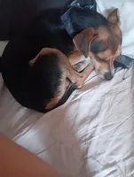 processed/93a6faba-ae62-48f1-b80c-b7230bbe14f3/facility/9a3efe49-aa88-41f7-b4ca-cf32c44efcdb