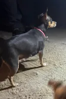 processed/93a6faba-ae62-48f1-b80c-b7230bbe14f3/facility/bd54402a-a9d7-4f04-a076-a079b276af48