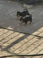 processed/93a6faba-ae62-48f1-b80c-b7230bbe14f3/facility/d5edcf9f-fee1-43e3-8261-a4594e785b0d