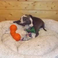 processed/93b0a542-dc89-4d19-a912-39bc674c18bd/facility/61b4ac29-3dd0-49f0-b784-e5af574143f9