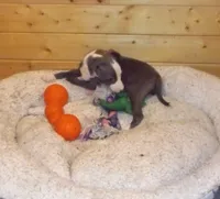 processed/93b0a542-dc89-4d19-a912-39bc674c18bd/facility/61b4ac29-3dd0-49f0-b784-e5af574143f9