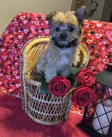 processed/93b0d331-2cbe-410b-9d5a-837232b61583/listing/6e7e9393-660f-49f0-bad0-a6a50011c15b/25043fd4-467c-4111-9fa2-23b168df72df