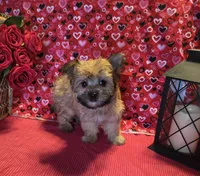 processed/93b0d331-2cbe-410b-9d5a-837232b61583/listing/6e7e9393-660f-49f0-bad0-a6a50011c15b/75ebe4e1-9de0-4a0f-a5b3-1fe3f3ca14c1