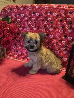 processed/93b0d331-2cbe-410b-9d5a-837232b61583/listing/6e7e9393-660f-49f0-bad0-a6a50011c15b/89b28ee6-bfd6-4f5f-9578-98f5b4350e00