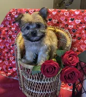 processed/93b0d331-2cbe-410b-9d5a-837232b61583/listing/6e7e9393-660f-49f0-bad0-a6a50011c15b/aaf1b6f5-290e-40c1-ae42-14fdb097d076