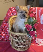 processed/93b0d331-2cbe-410b-9d5a-837232b61583/listing/d0b411b8-ff66-48d5-9895-54404c8ce297/2150980d-0eb7-42f4-9da5-68d1a9fd675f