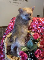 processed/93b0d331-2cbe-410b-9d5a-837232b61583/listing/d0b411b8-ff66-48d5-9895-54404c8ce297/32019272-b145-434d-8d35-a72741a123a5