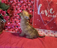 processed/93b0d331-2cbe-410b-9d5a-837232b61583/listing/d0b411b8-ff66-48d5-9895-54404c8ce297/3eda95a3-a2eb-46e6-8117-2785b417a695