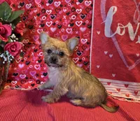 processed/93b0d331-2cbe-410b-9d5a-837232b61583/listing/d0b411b8-ff66-48d5-9895-54404c8ce297/4a69ec2d-267e-4d6c-a716-07e138e02c09