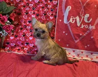 processed/93b0d331-2cbe-410b-9d5a-837232b61583/listing/d0b411b8-ff66-48d5-9895-54404c8ce297/54be55af-b51d-4f9c-a48b-2f6d6b3938a2