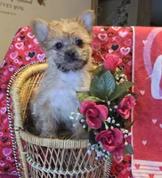 processed/93b0d331-2cbe-410b-9d5a-837232b61583/listing/d0b411b8-ff66-48d5-9895-54404c8ce297/e7d146ae-35eb-4422-9c6c-81bb5e528bc7