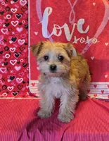 processed/93b0d331-2cbe-410b-9d5a-837232b61583/listing/d6f7683c-3d27-4126-8f9e-5c08326b2a9e/087f5758-f2e0-458a-ac23-713cee414c69