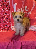 processed/93b0d331-2cbe-410b-9d5a-837232b61583/listing/d6f7683c-3d27-4126-8f9e-5c08326b2a9e/344d6a51-0bb8-4e92-aba7-fbfd94198d7c