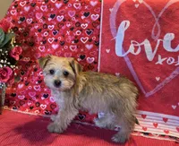 processed/93b0d331-2cbe-410b-9d5a-837232b61583/listing/d6f7683c-3d27-4126-8f9e-5c08326b2a9e/5405d792-fb1b-49b2-bd60-00a03dd67aca