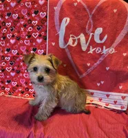 processed/93b0d331-2cbe-410b-9d5a-837232b61583/listing/d6f7683c-3d27-4126-8f9e-5c08326b2a9e/64e25d89-185c-4872-97ac-f6fa520490b2