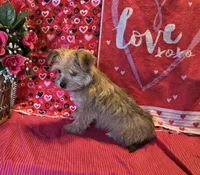 processed/93b0d331-2cbe-410b-9d5a-837232b61583/listing/d6f7683c-3d27-4126-8f9e-5c08326b2a9e/8e9db513-0212-4fb5-b266-2f80dce532fe